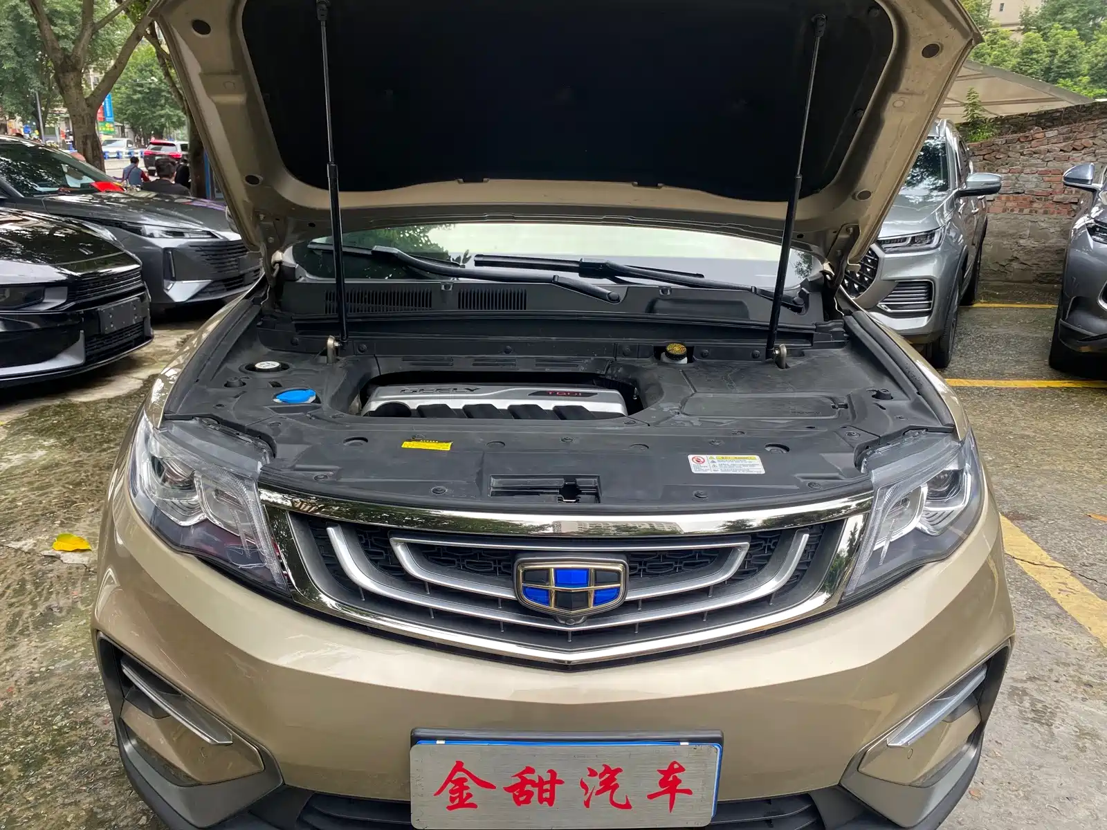 Фото 15 - Geely Atlas