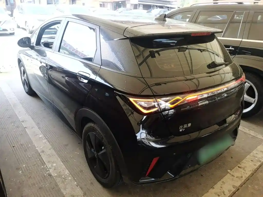 BYD Dolphin 2023 420km Fashion Edition фото 5