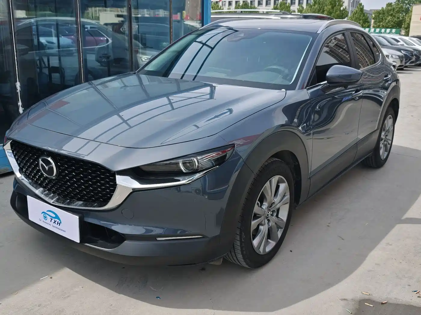 Mazda CX-30 2023 2022 2.0L Automatic Excellence Joy Model
