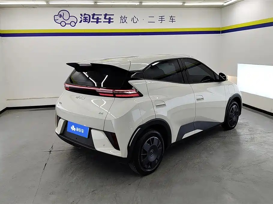 BYD Seagull 2025 Smart Drive Edition 305km Vitality Version фото 3