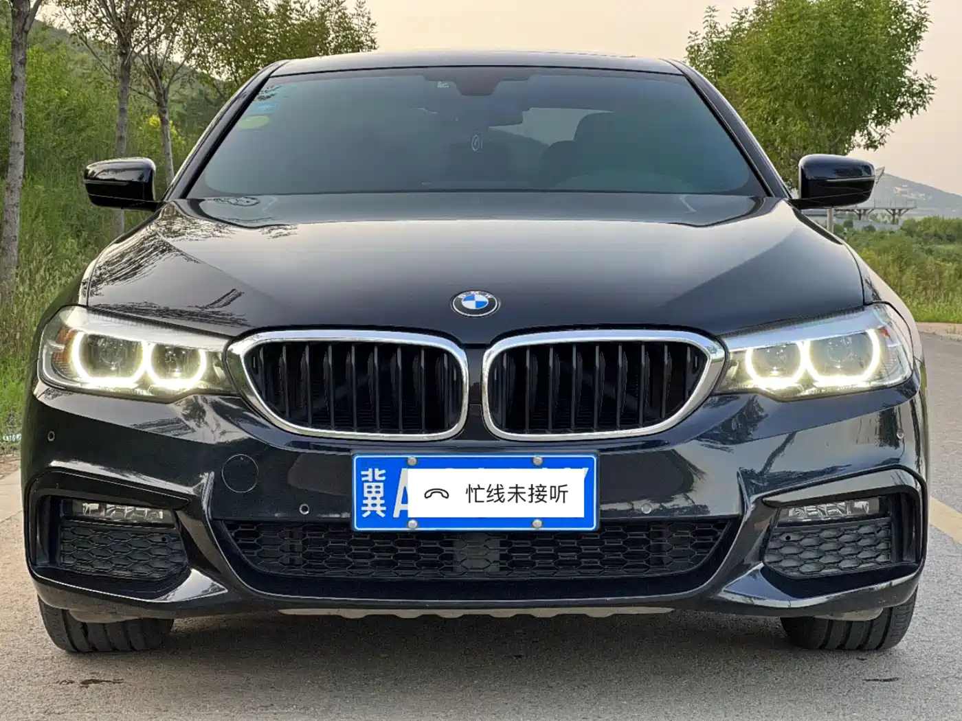 BMW 5 Series 2019 530Li Leading M Sport Package фото 2
