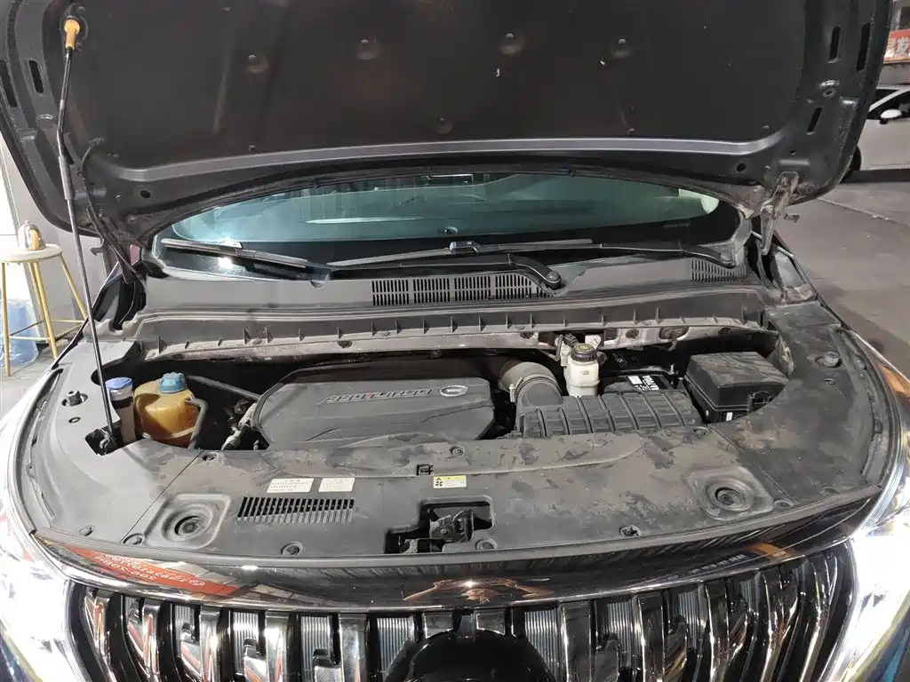GAC Trumpchi Trumpchi M8 2021 Master Series 390T Ultimate Edition фото 10
