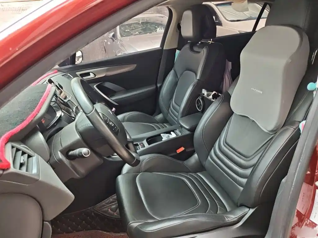 DS 4S 2017 2016 Model 1.6T Automatic Smart Enjoy Edition THP160