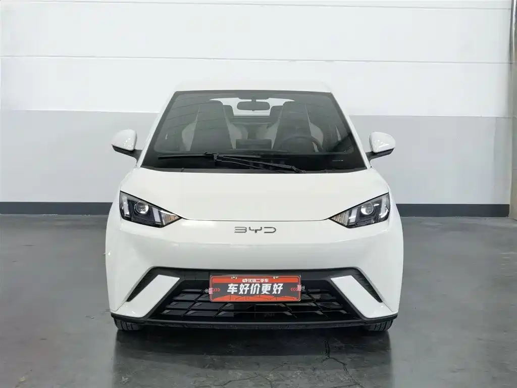 BYD Seagull 2024 Glory Edition 305km Vitality Edition фото 3
