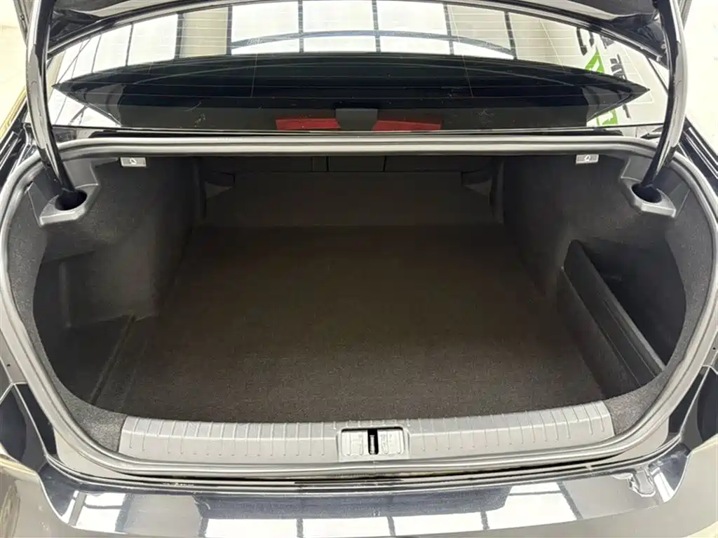 Volkswagen Magotan 2025 Popular Edition 330TSI DSG Luxury фото 7