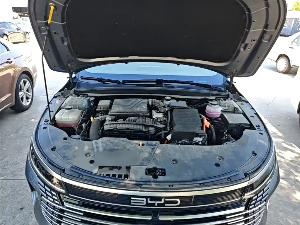 BYD Destroyer 05 2024 Glory Edition DM-i 55KM Luxury фото 20