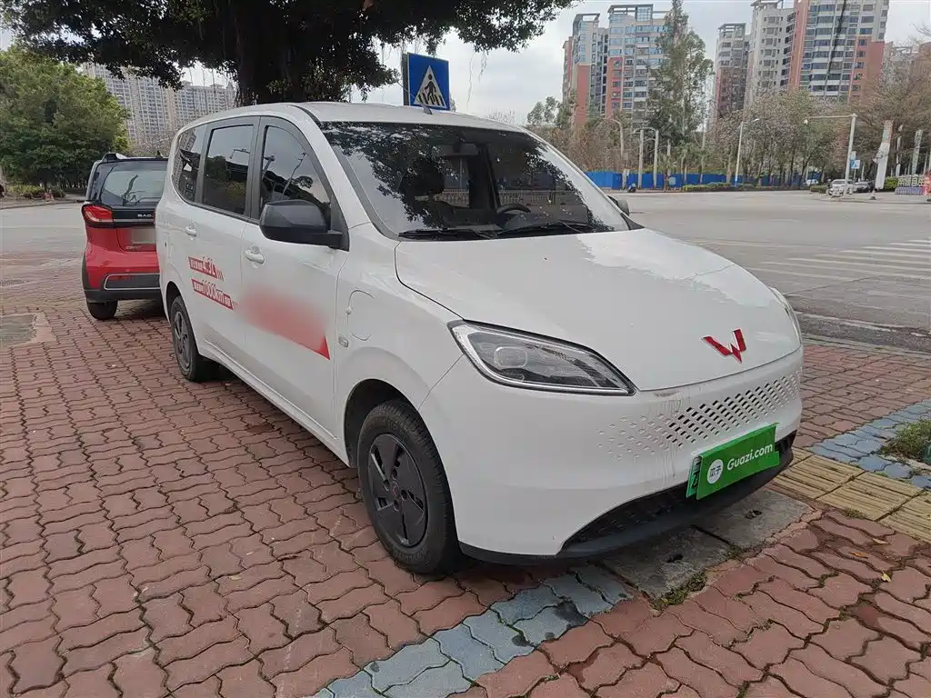 Фото 22 - Wuling Motors Wuling Hongguang New Energy