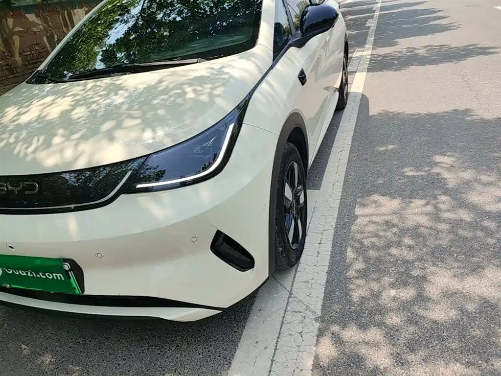 BYD Dolphin 2025 Smart Drive Edition 410km Fashion Version фото 24