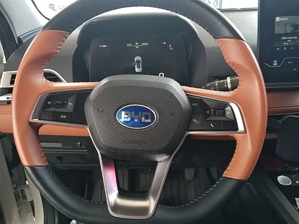 BYD e2 2021 Luxury Edition фото 11