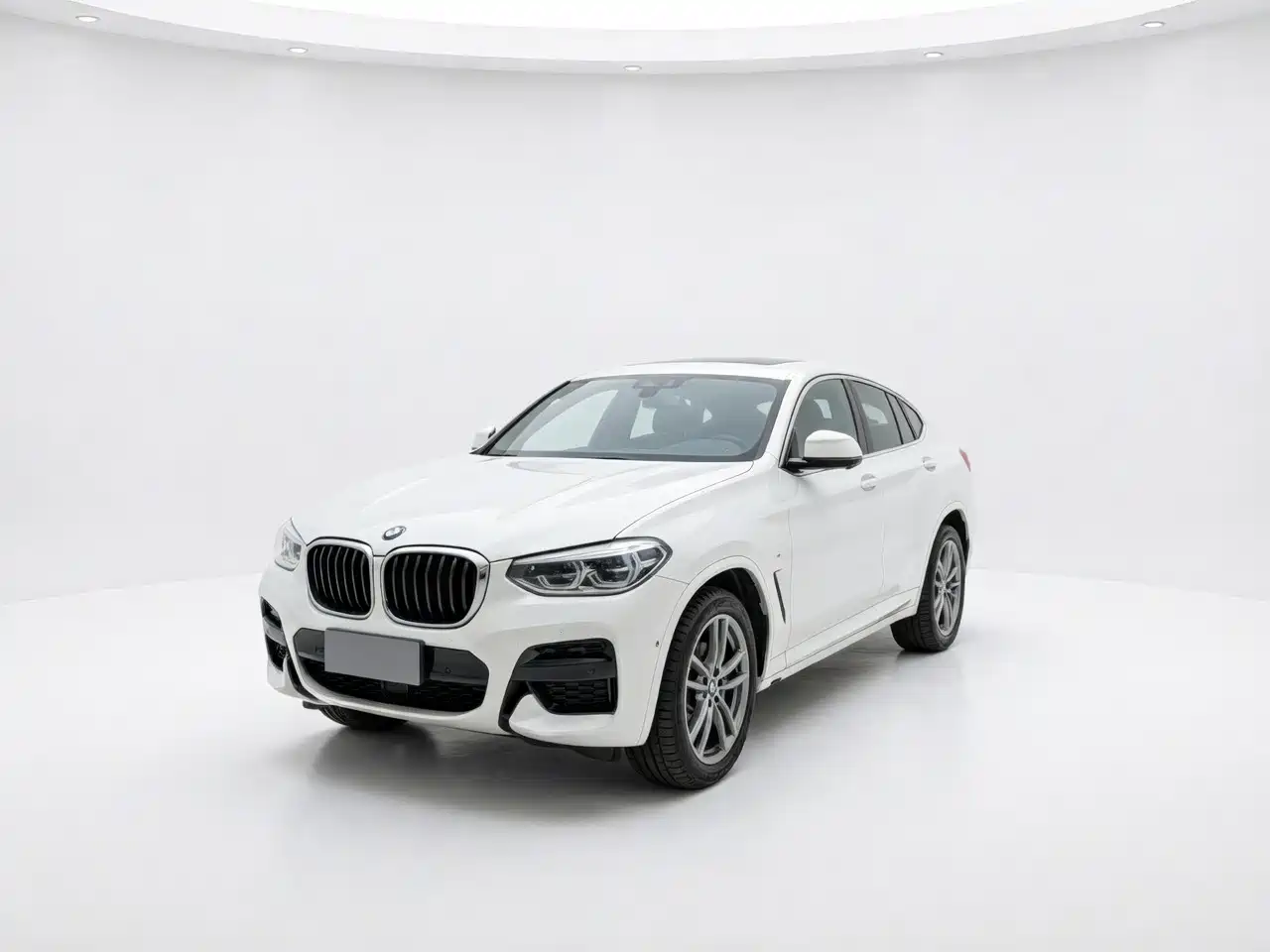 BMW X4 2019 xDrive25i M Sport Package
