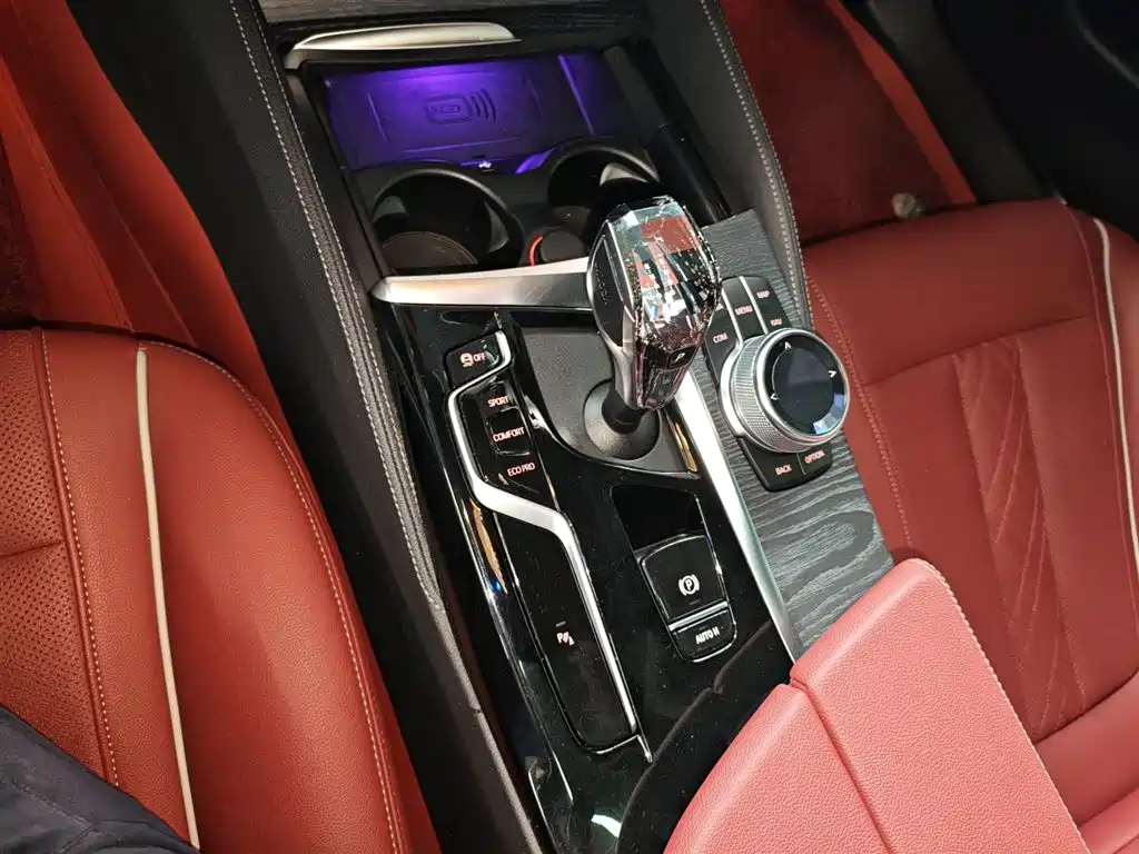 BMW 5 Series 2022 Facelift 530Li Leading M Sport Package фото 10