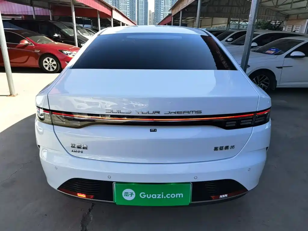 BYD Destroyer 05 2024 Glory Edition DM-i 55KM Luxury фото 6