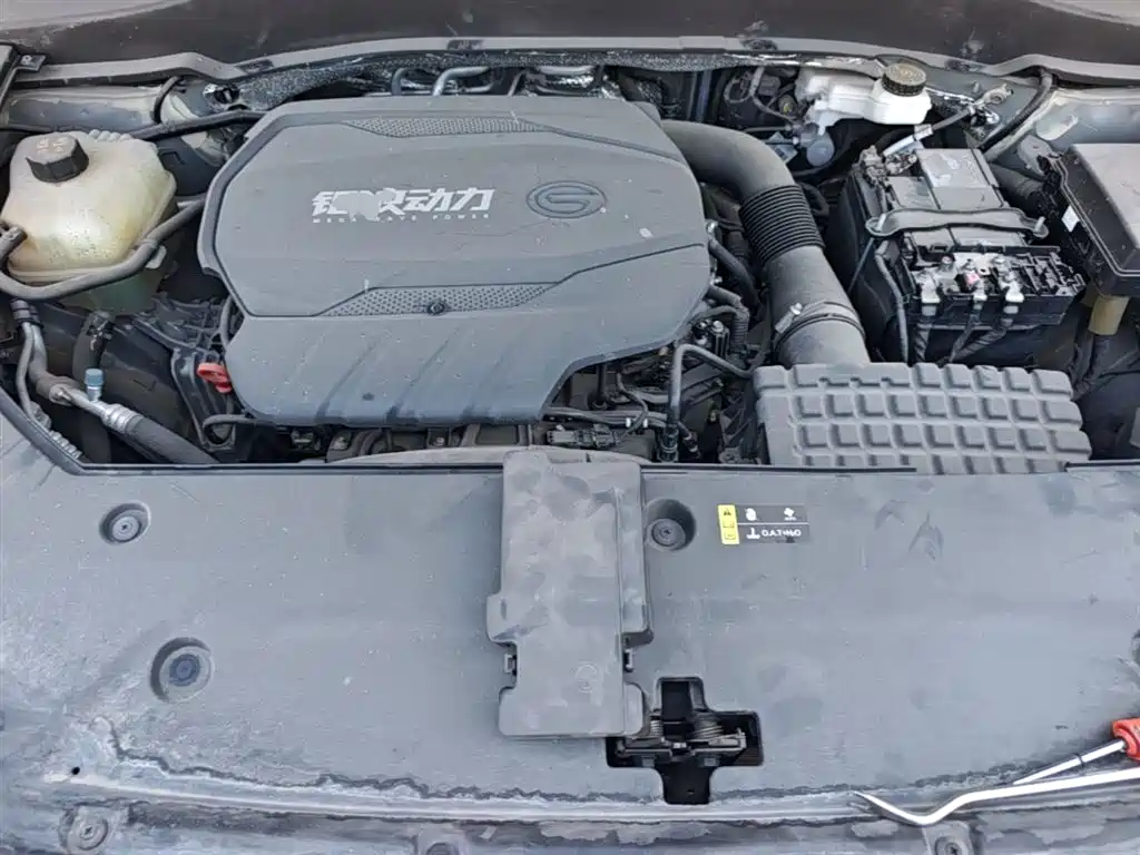 GAC Trumpchi Trumpchi GS8 2022 Pilot Series 2.0TGDI 2WD Premium Edition (7-Seater) фото 20