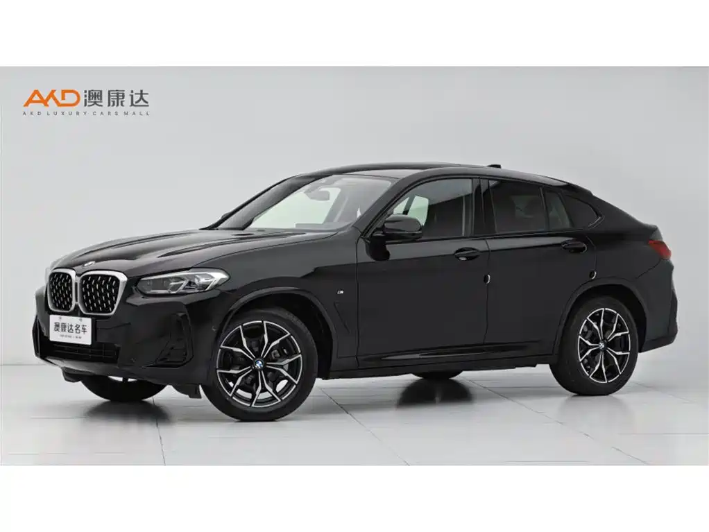 BMW X4 2022 xDrive 25i M Sport Package