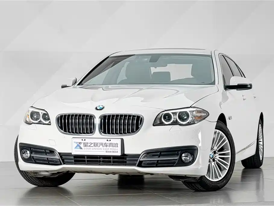 BMW 5 Series 2014 525Li Leading фото 5