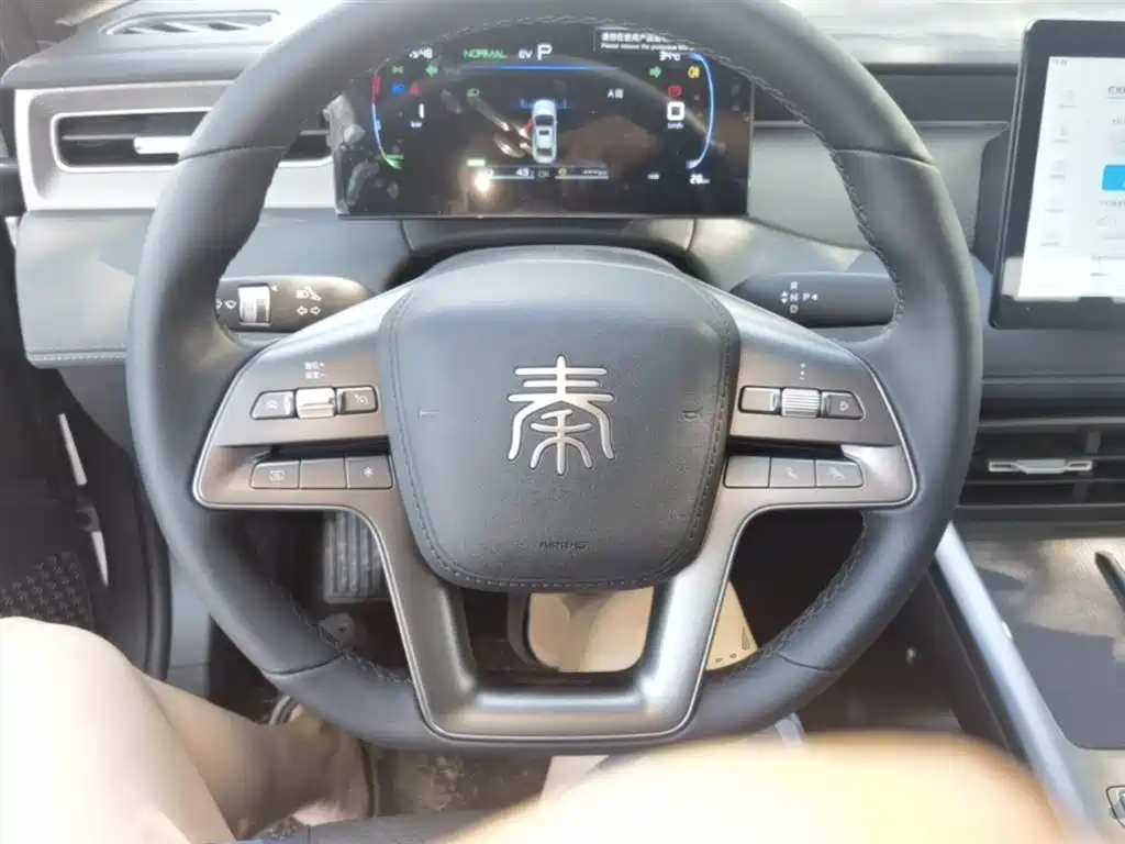 BYD Qin PLUS 2026 DM-i Smart Edition 128KM Progressive фото 11
