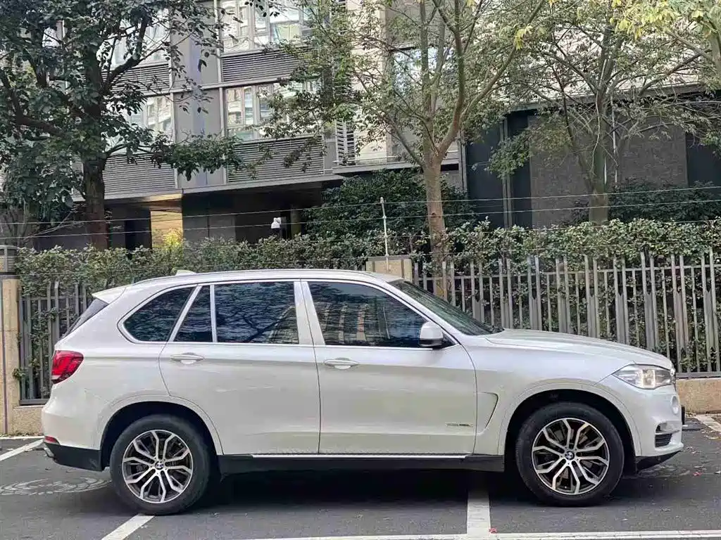 BMW X5 (Import) 2017 xDrive35i Elegance фото 4