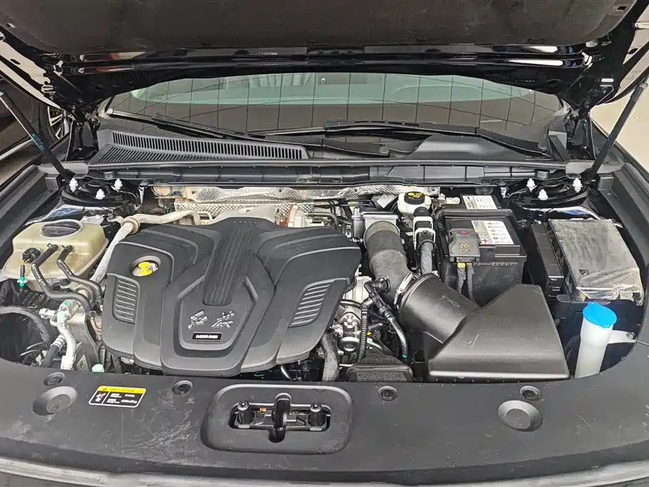 Hongqi H5 2023 2.0T Auto Smart Connect Flag Comfort фото 10