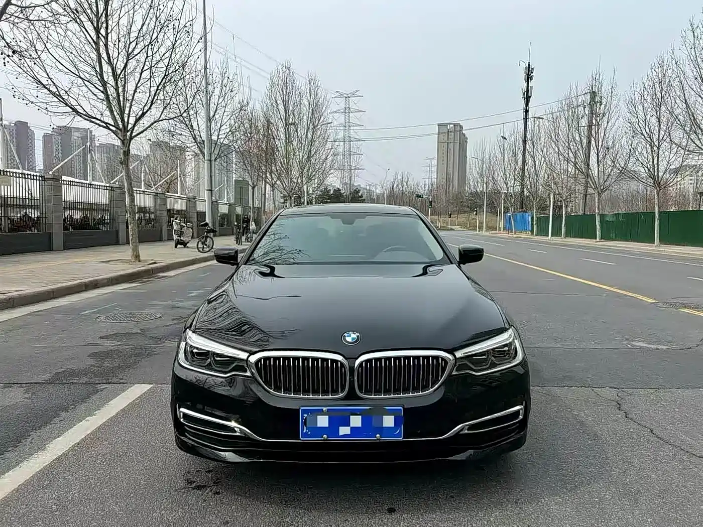 BMW 5 Series 2020 530Li Leading Luxury Package