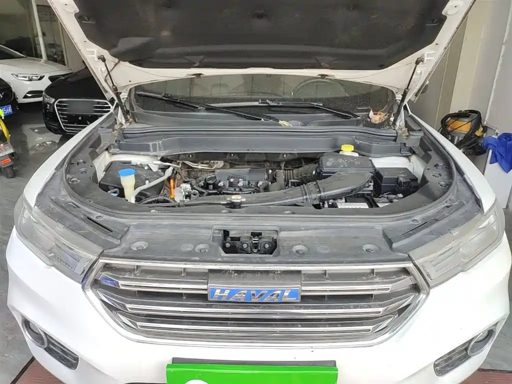 Haval H6 2017 Blue Label 2.0T Automatic 2WD Smart Edition фото 20