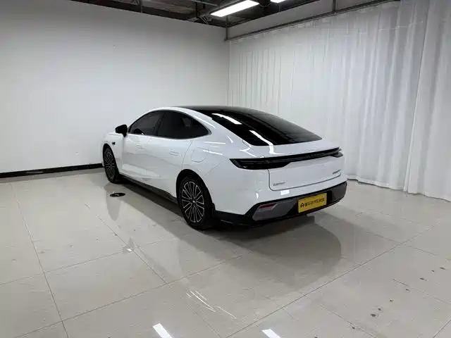 Geely Galaxy Galaxy Xingyao 8 2025 130km EM-i Premium Edition фото 5