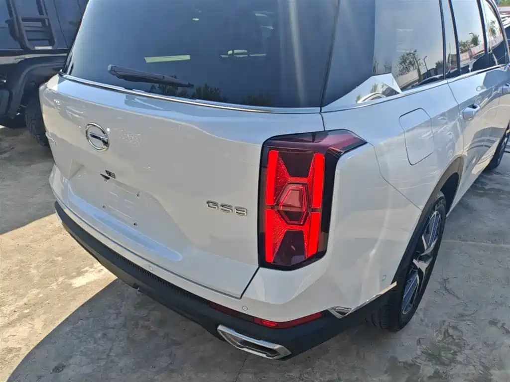 GAC Trumpchi Trumpchi GS8 2022 Pilot Series 2.0TGDI 2WD Premium Edition (7-Seater) фото 8
