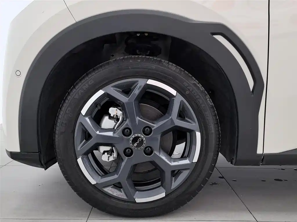BYD Seagull 2025 Smart Drive Edition 305km Freedom Version фото 17