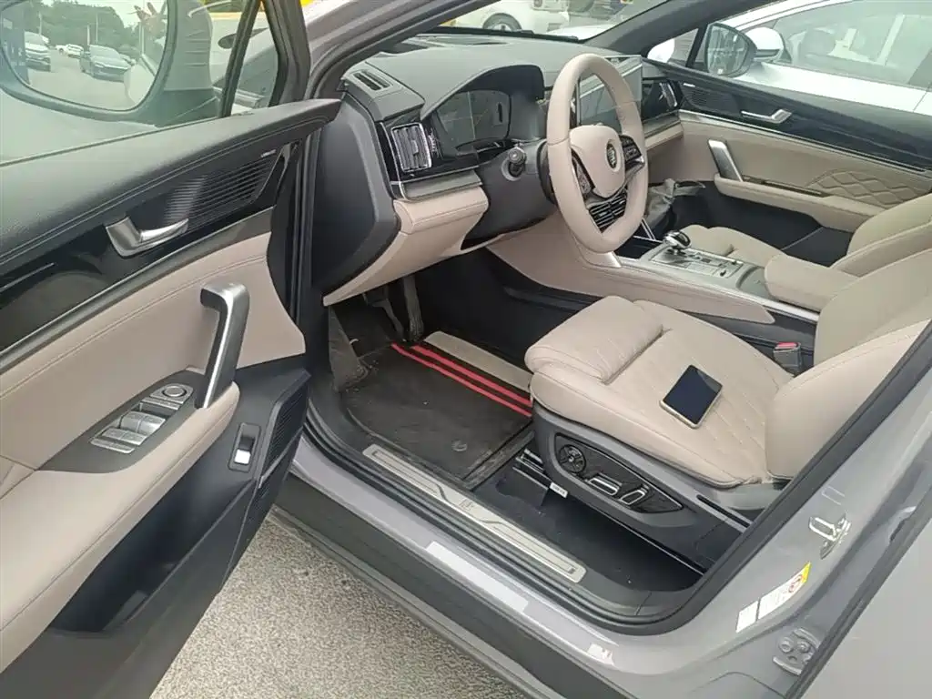 BYD Tang New Energy 2025 Smart Driving Edition DM-i 115KM Flagship фото 16