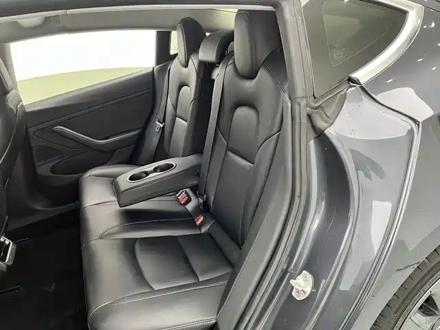 TESLA MODEL 3 (IMPORTED)