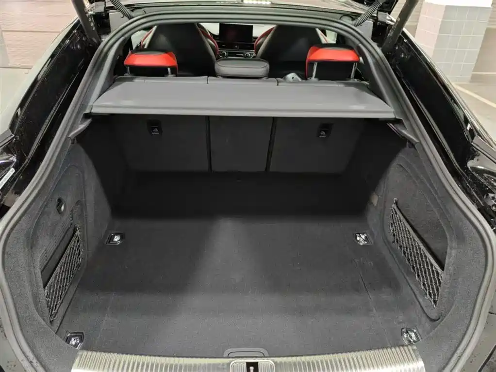 Audi RS 5 2024 RS 5 2.9T Sportback Ultimate Edition фото 17