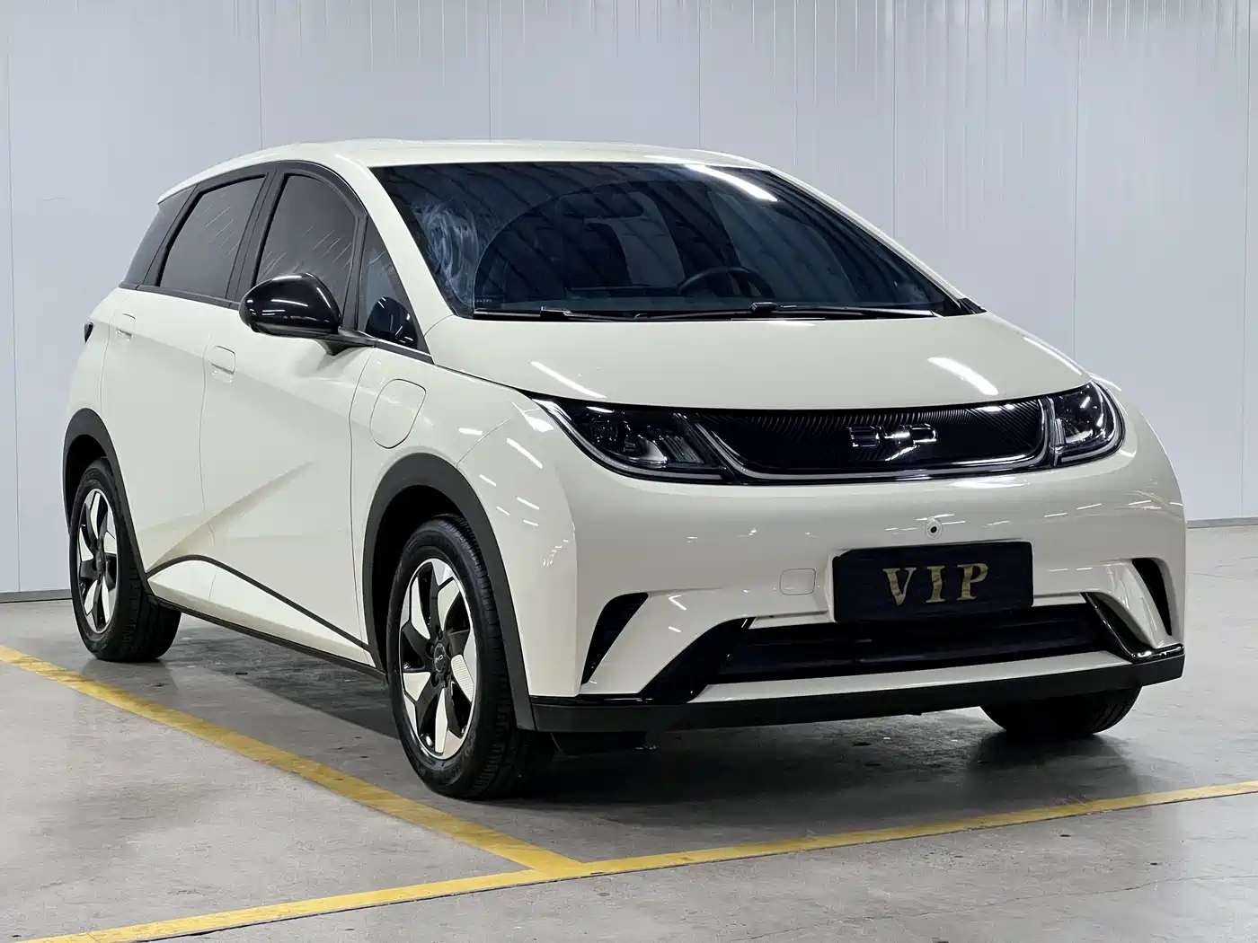 BYD Dolphin 2026 2025 420km Freedom Edition