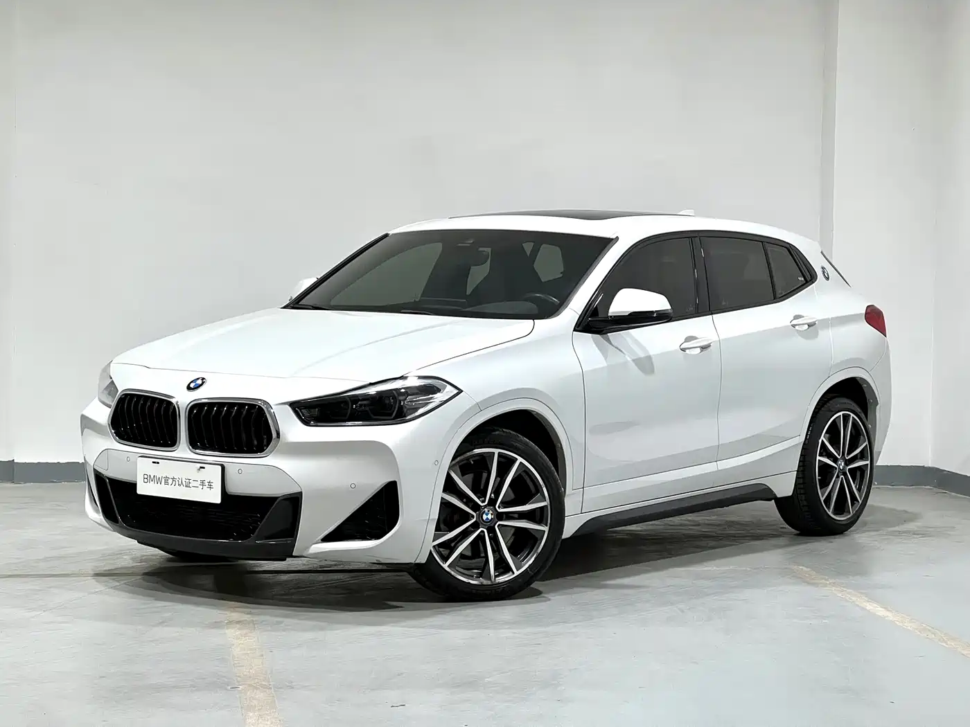 BMW X2 2020 xDrive25i M Sport Package фото 2