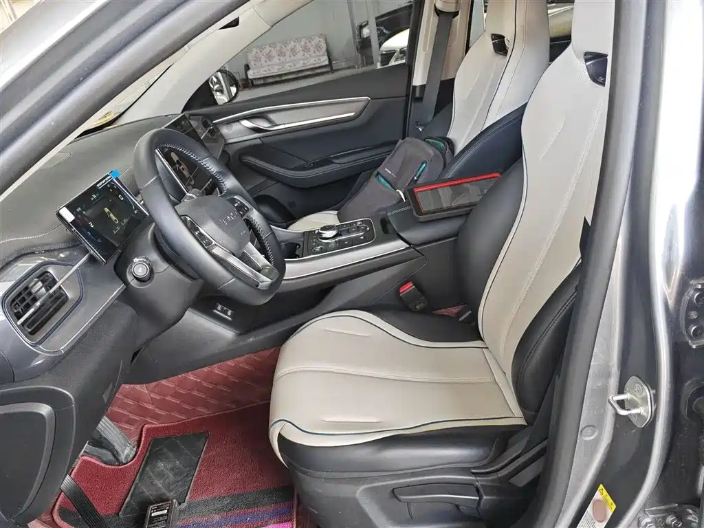 BYD Destroyer 05 2024 Glory Edition DM-i 120KM Luxury фото 7