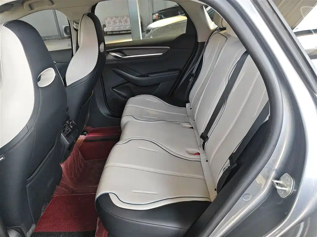 BYD Destroyer 05 2024 Glory Edition DM-i 120KM Luxury фото 14