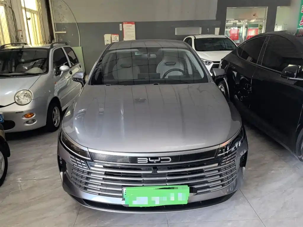 BYD Destroyer 05 2024 Glory Edition DM-i 55KM Luxury фото 3