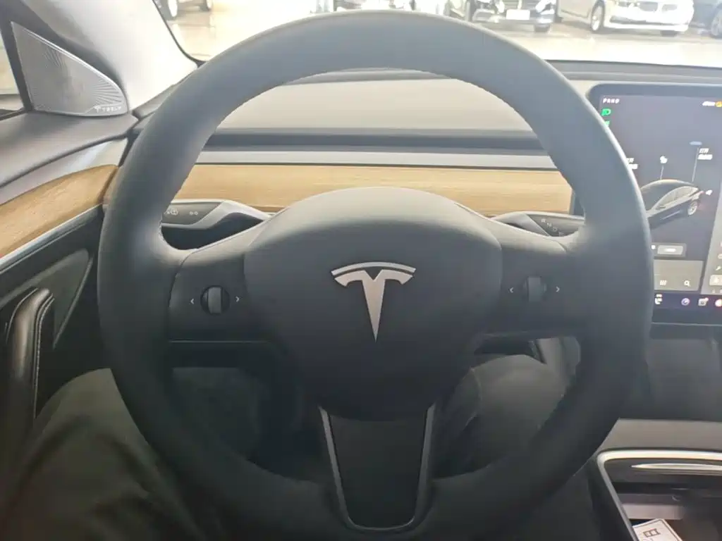 Фото 11 - Tesla Model 3