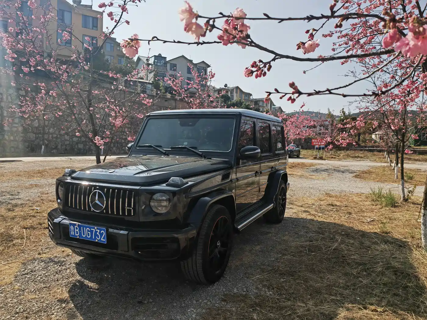 Mercedes-Benz G-Class 2010 G 500