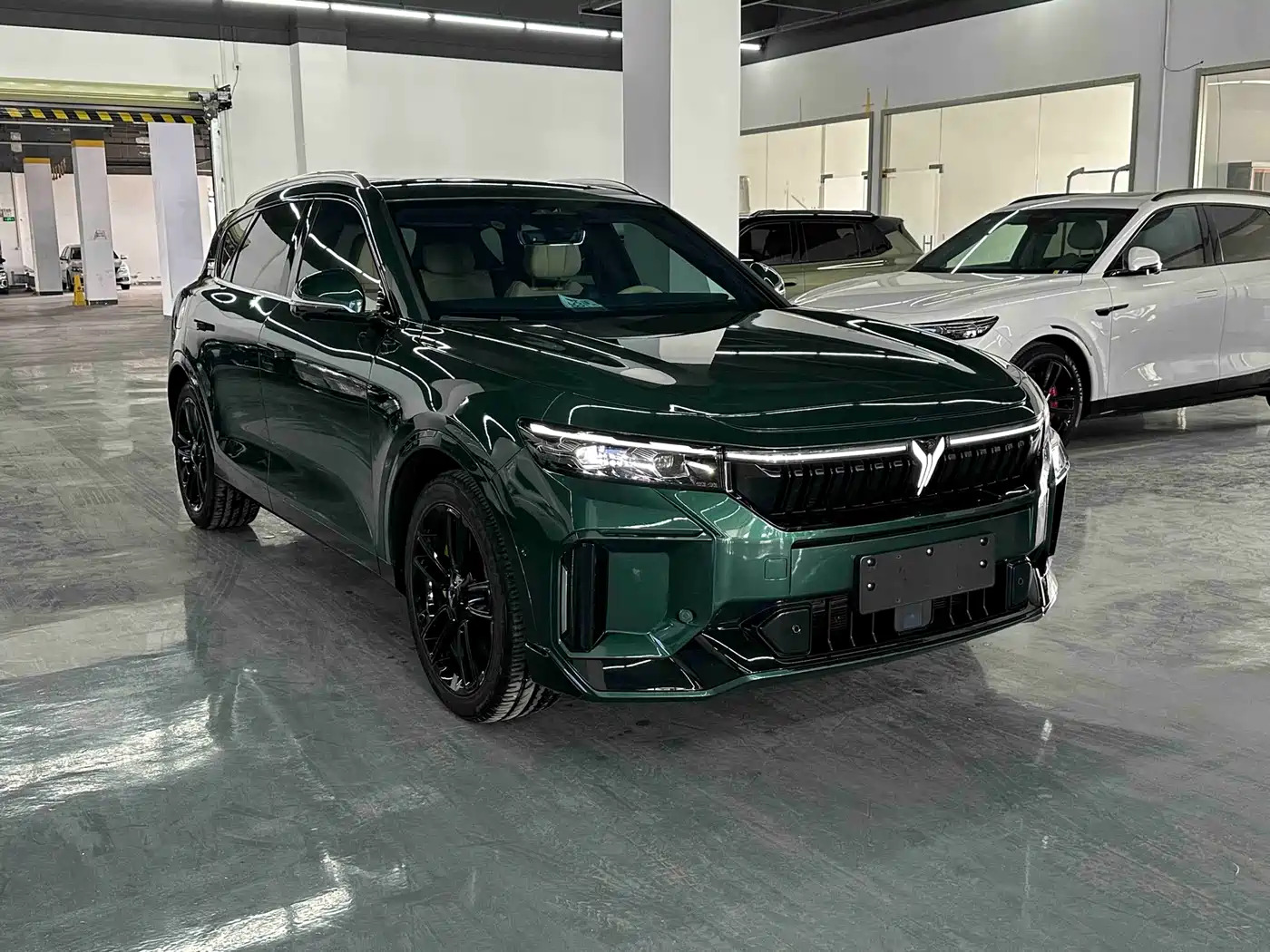 Voyah Auto VOYAH FREE 2024 Ultra Long Range Intelligent Driving Edition фото 3