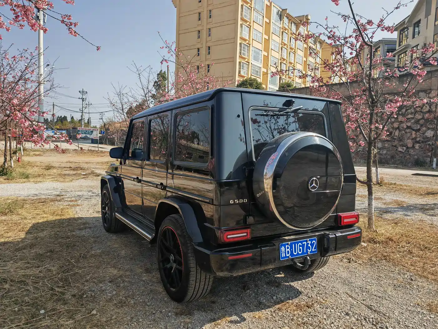 Mercedes-Benz G-Class 2010 G 500 фото 6