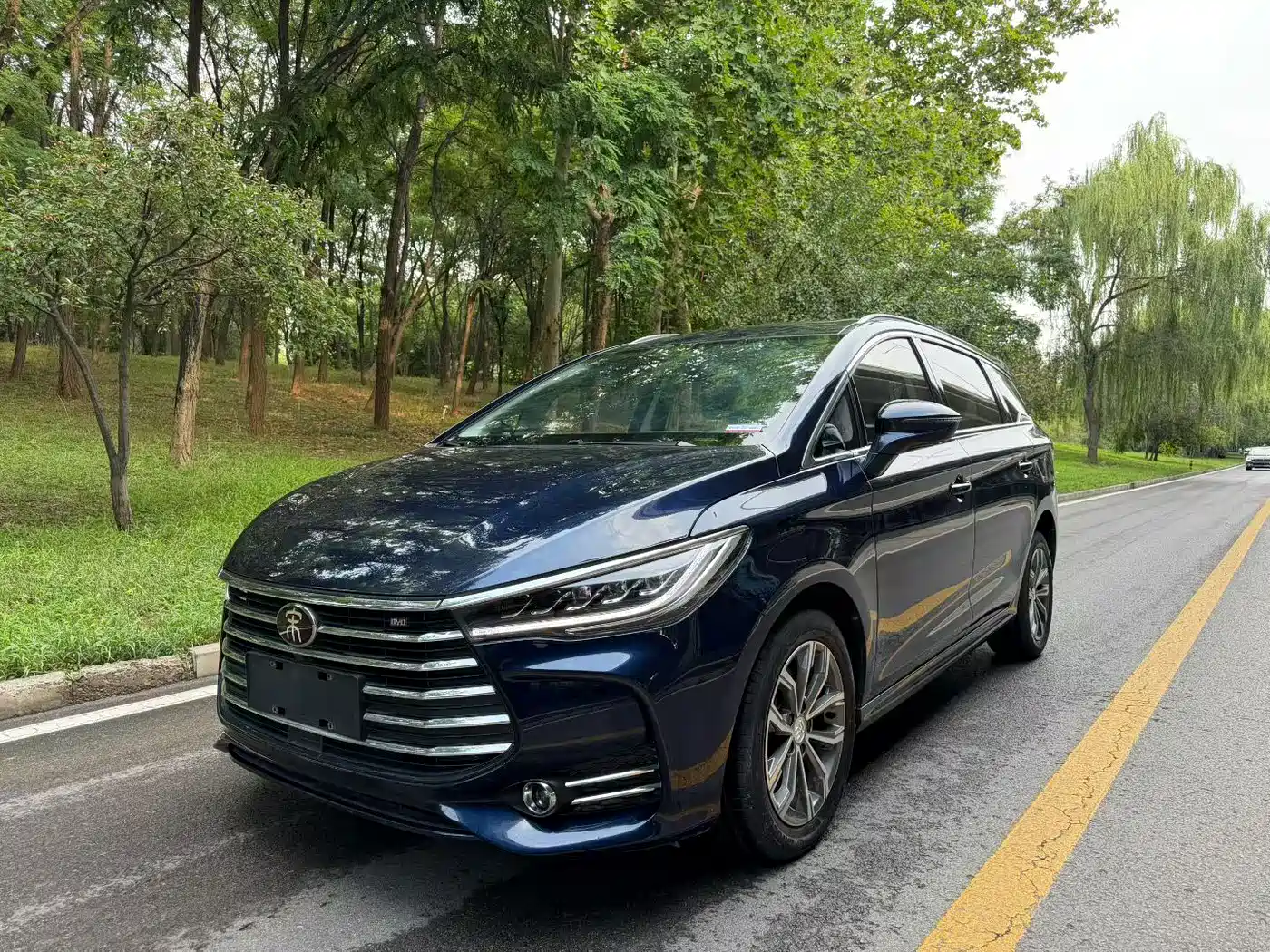 BYD Song MAX 2019 1.5T Auto Smart Connect Progressive 7-seater China V