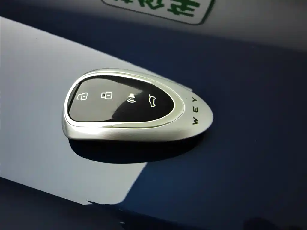 Wey Lanshan 2023 AWD Ultra Long Range Edition фото 19
