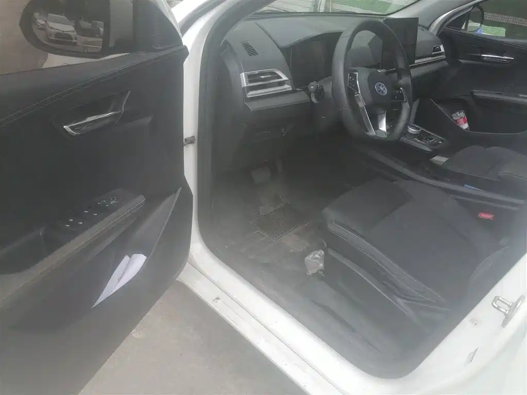 BYD e2 2021 Comfort Model фото 14