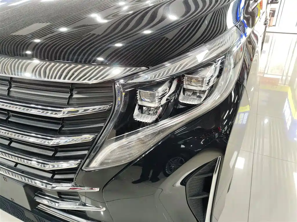 GAC Trumpchi Trumpchi M8 2023 Leading Series 390T Premium Edition фото 24