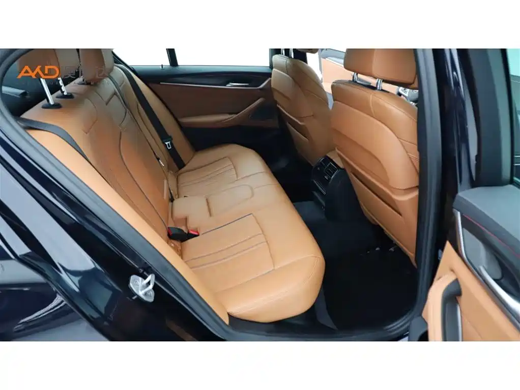 BMW 5 Series (Import) 2021 530i Style Edition M Sport Package фото 8