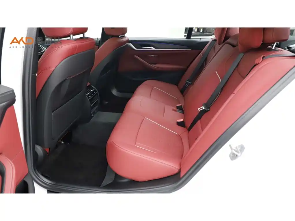 BMW 5 Series 2023 Facelift 530Li Leading M Sport Package фото 7