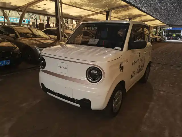 Geely Galaxy Panda 2024