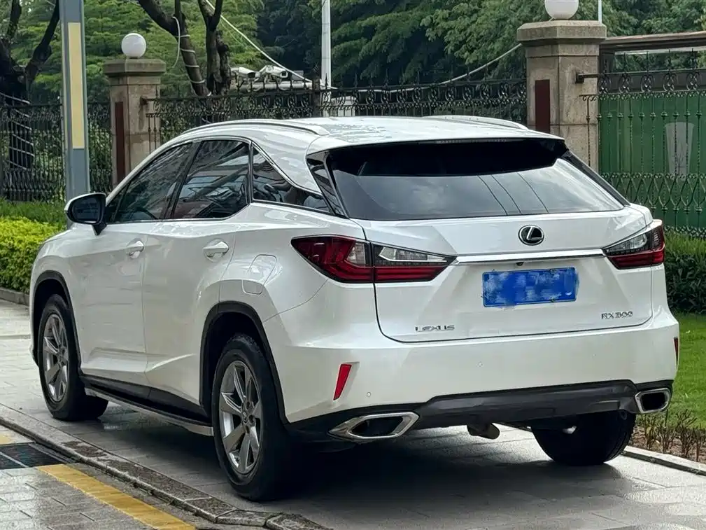 Lexus RX 2016 300 2WD Comfort Edition China V фото 6
