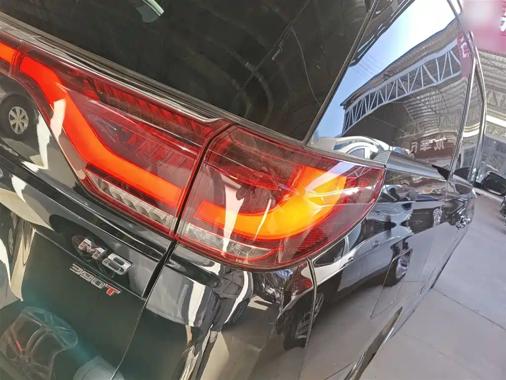 GAC Trumpchi Trumpchi M8 2023 Leading Series 390T Premium Edition фото 8