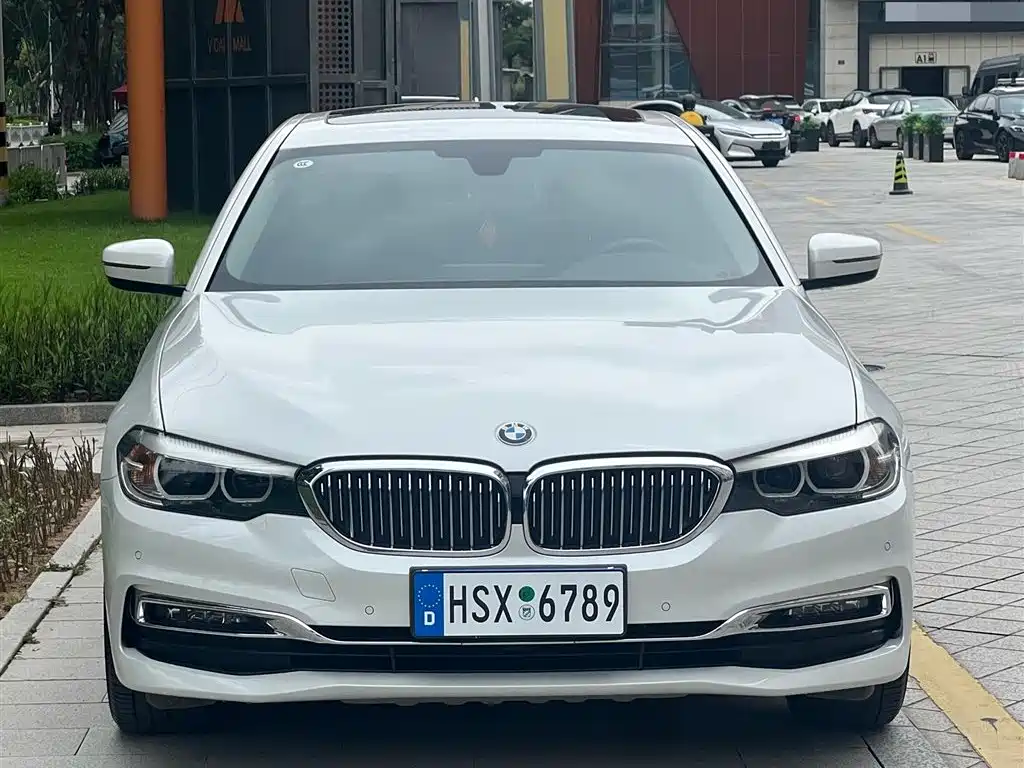 BMW 5 Series 2019 525Li Luxury Package фото 2