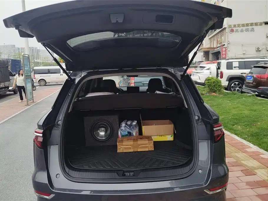 BYD Song Pro New Energy 2019 DM 1.5T 4WD Performance Luxury фото 4